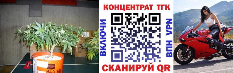 ТГК концентрат  нарко площадка клад  Новосибирск  как найти закладки 