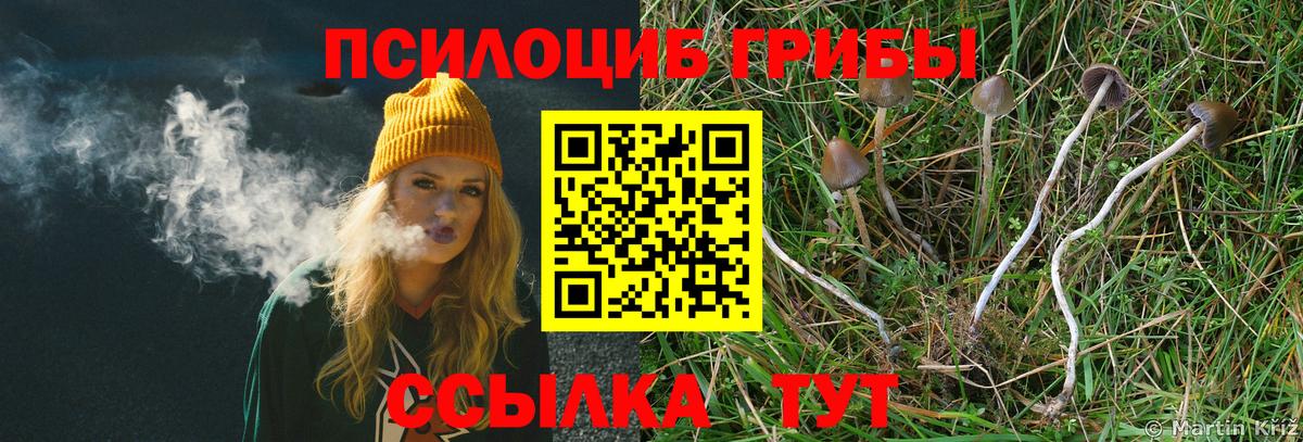 что такое   Псилоцибиновые грибы ЛСД  Вход с VPN  Новосибирск 