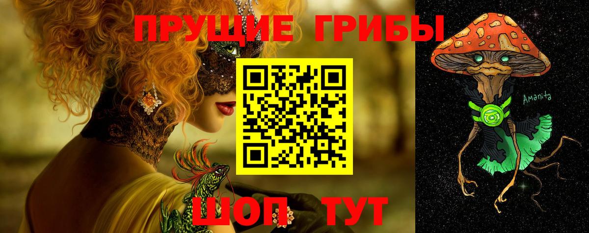 Галлюциногенные грибы прущие грибы Новосибирск