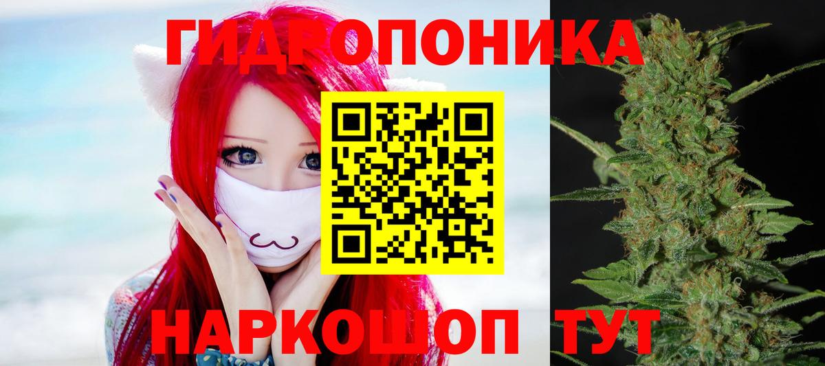 МАРИХУАНА SATIVA & INDICA Новосибирск